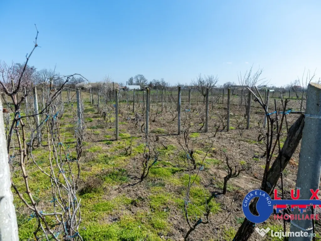 ID 6675 EXCLUSIVITATE - Teren cu casa in Sat Lunca- DELTA DUNĂRII