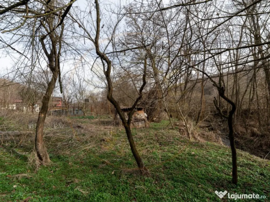 Teren de vânzare – 1221 mp în Budeasa Mică, zonă lini? 