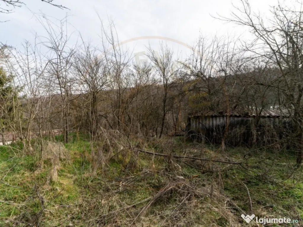 Teren de vânzare – 1221 mp în Budeasa Mică, zonă lini? 