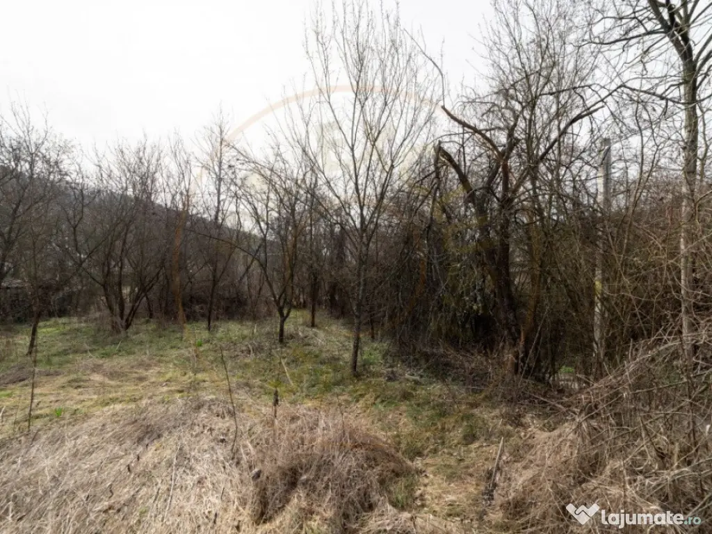 Teren de vânzare – 1221 mp în Budeasa Mică, zonă lini? 