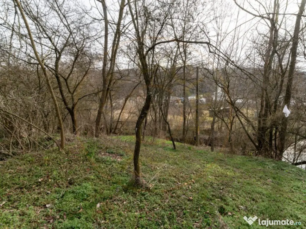Teren de vânzare – 1221 mp în Budeasa Mică, zonă lini? 