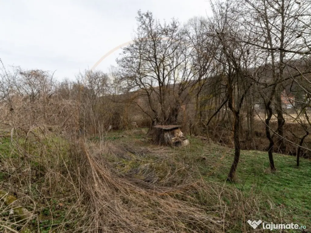 Teren de vânzare – 1221 mp în Budeasa Mică, zonă lini? 