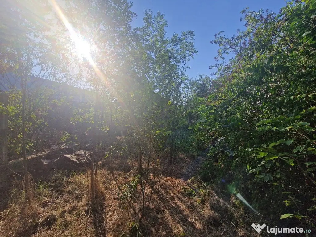 Cornetu stradal, vanzare teren intravilan 1.600mp 