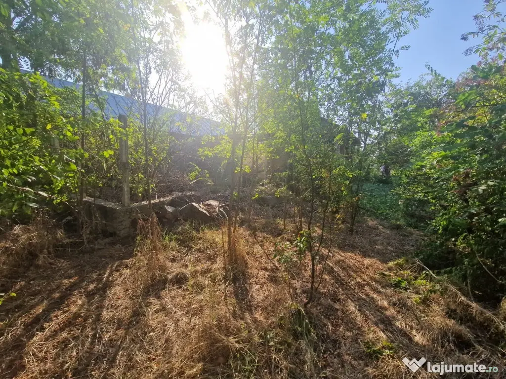 Cornetu stradal, vanzare teren intravilan 1.600mp 