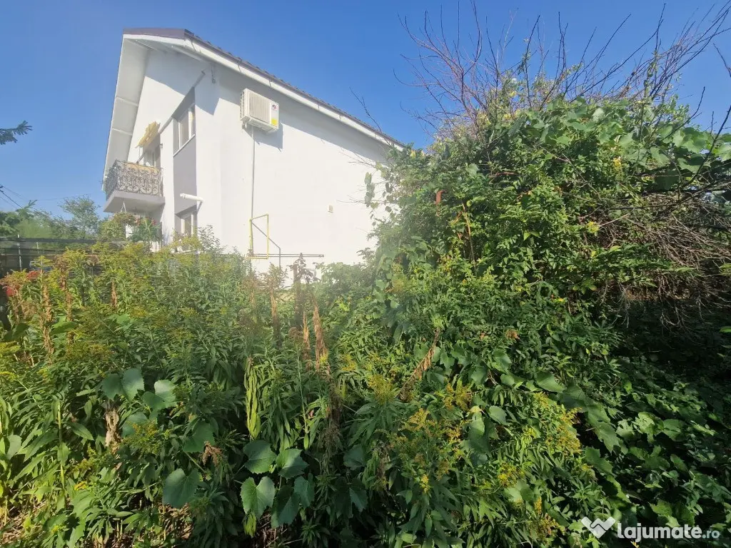 Cornetu stradal, vanzare teren intravilan 1.600mp 