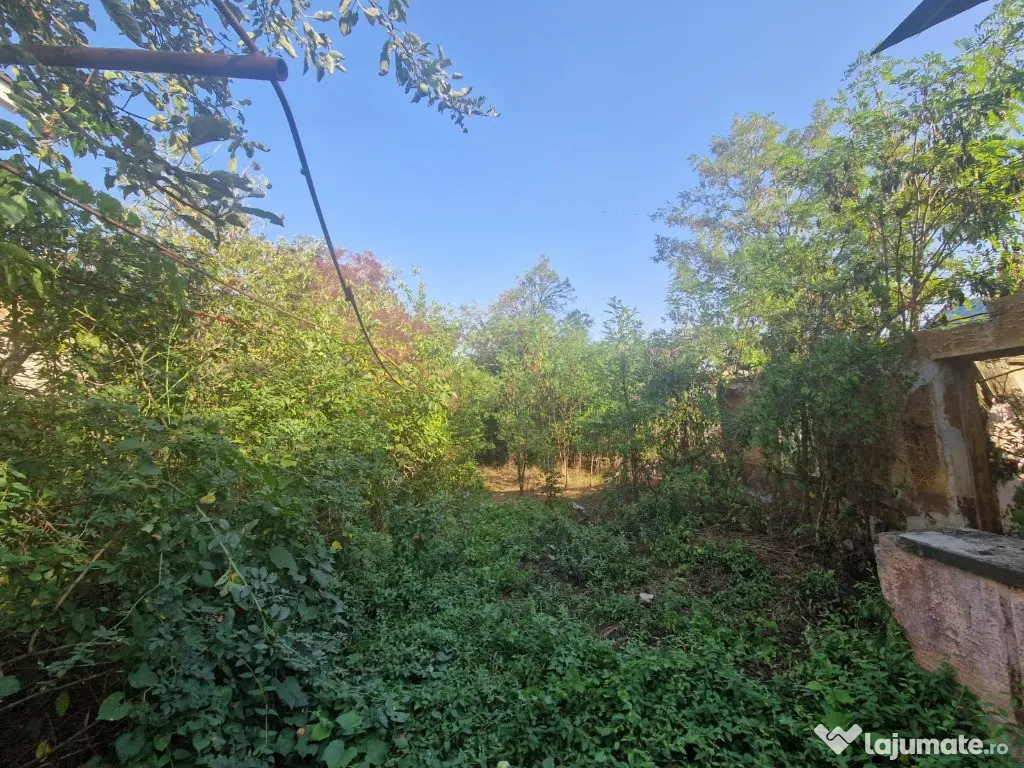 Cornetu stradal, vanzare teren intravilan 1.600mp 