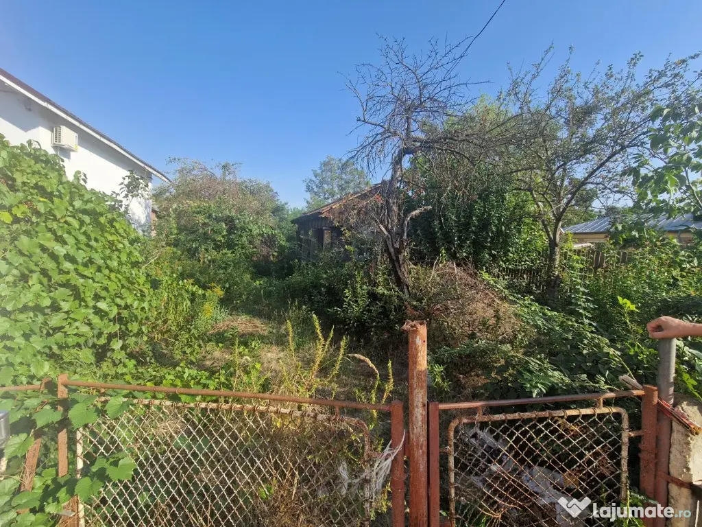 Cornetu stradal, vanzare teren intravilan 1.600mp 