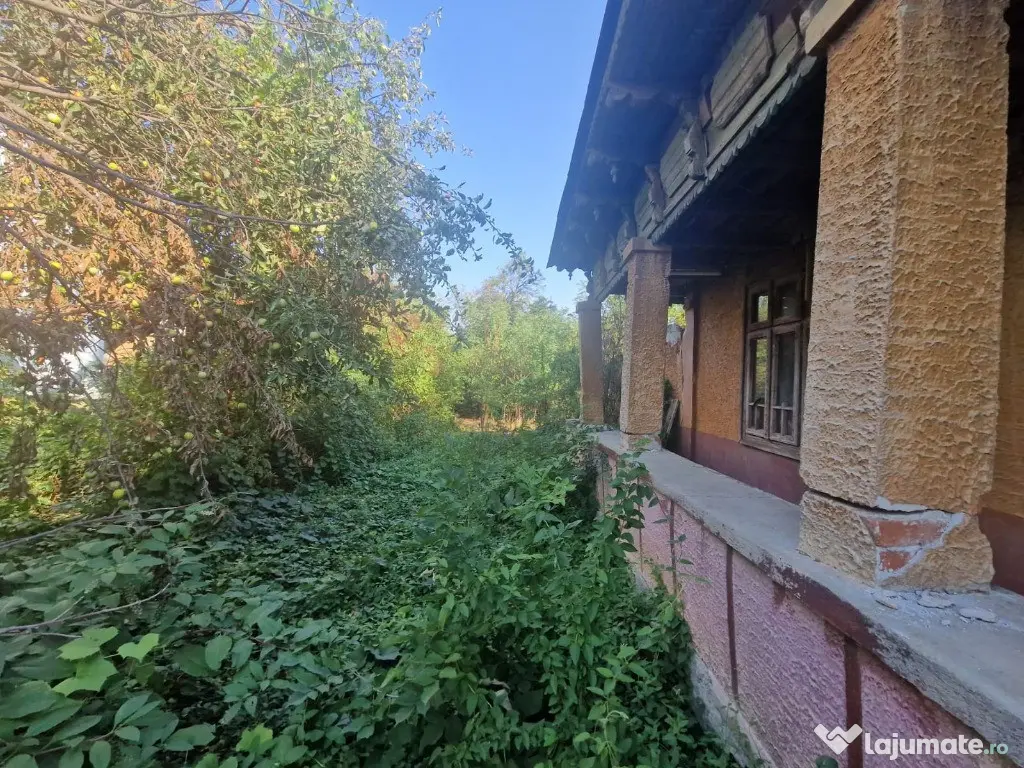 Cornetu stradal, vanzare teren intravilan 1.600mp 