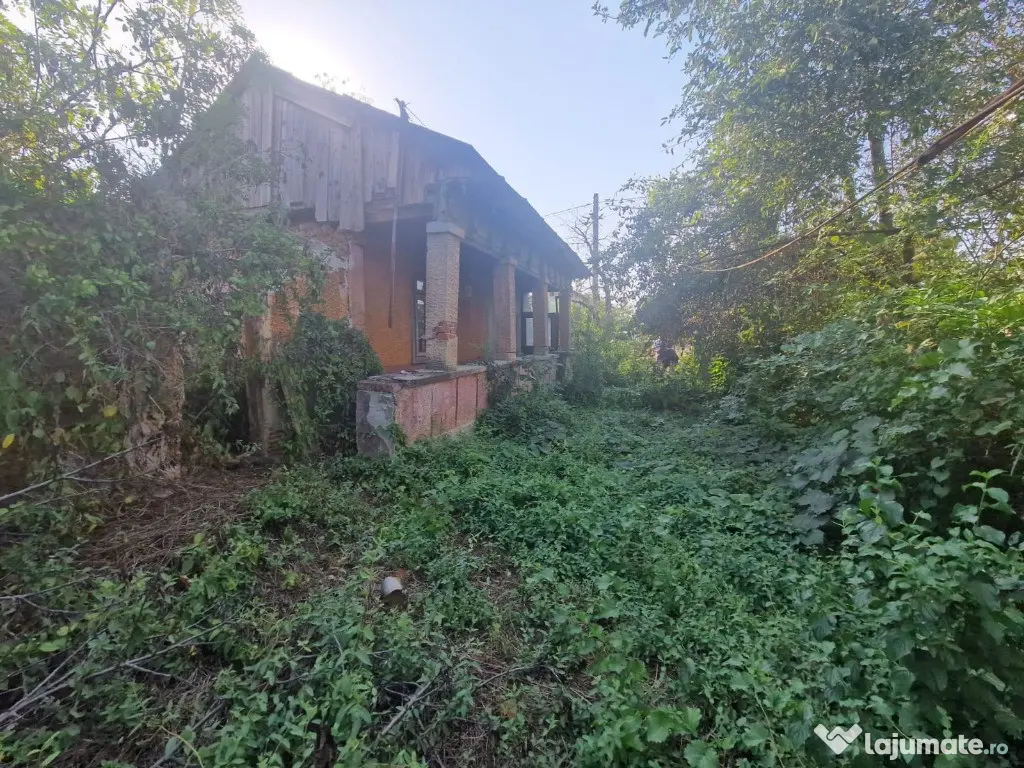 Cornetu stradal, vanzare teren intravilan 1.600mp 