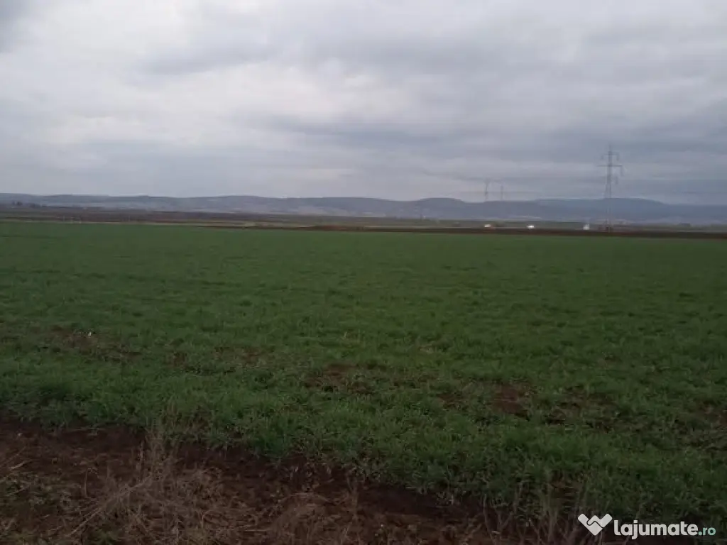 De vânzare terenuri intravilane între Chilieni si Ozun