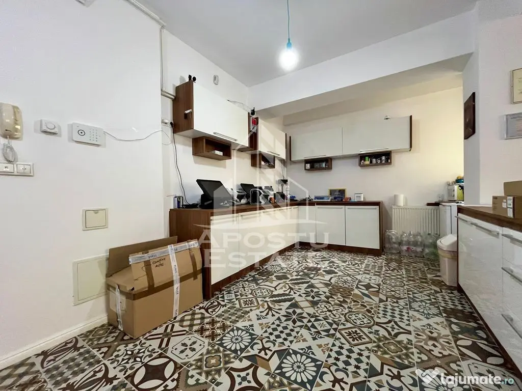 Apartament cu 2 camere, terasa 124mp, zona Torontalului