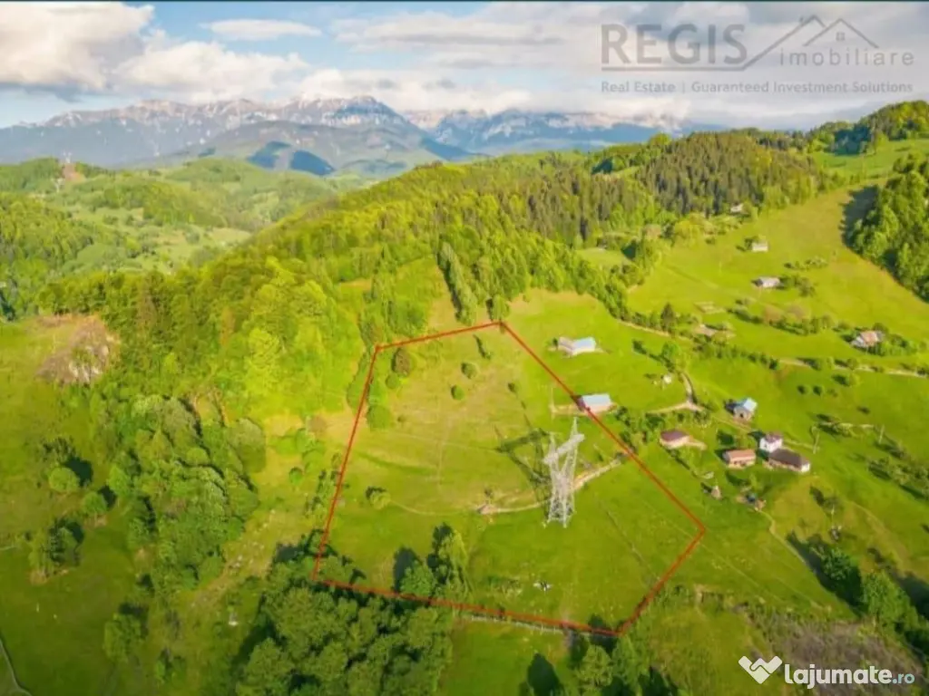 Teren, Zona de Interes Turistic-Cheile Gradistei, 8800mp 