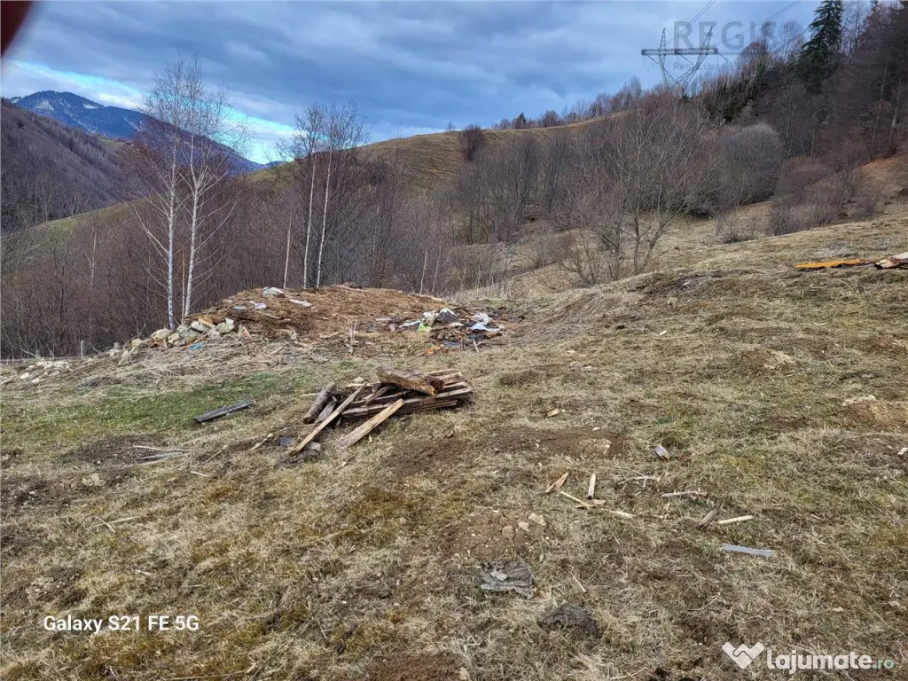 Teren, Zona de Interes Turistic-Cheile Gradistei, 8800mp 