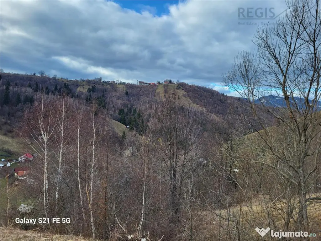 Teren, Zona de Interes Turistic-Cheile Gradistei, 8800mp 