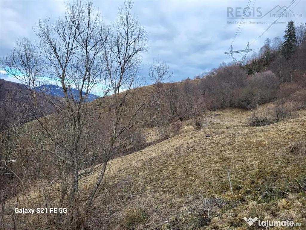 Teren, Zona de Interes Turistic-Cheile Gradistei, 8800mp 