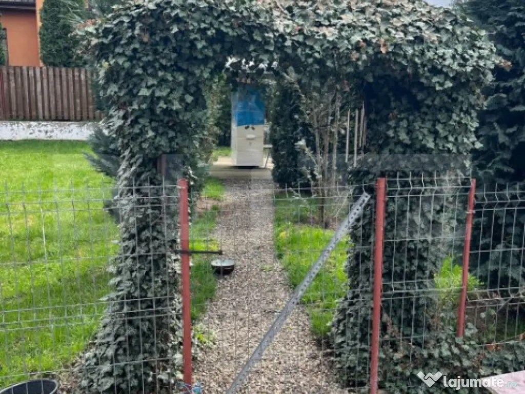 "Casă în zona 7 Noiembrie – Ideală pentru locuință sa