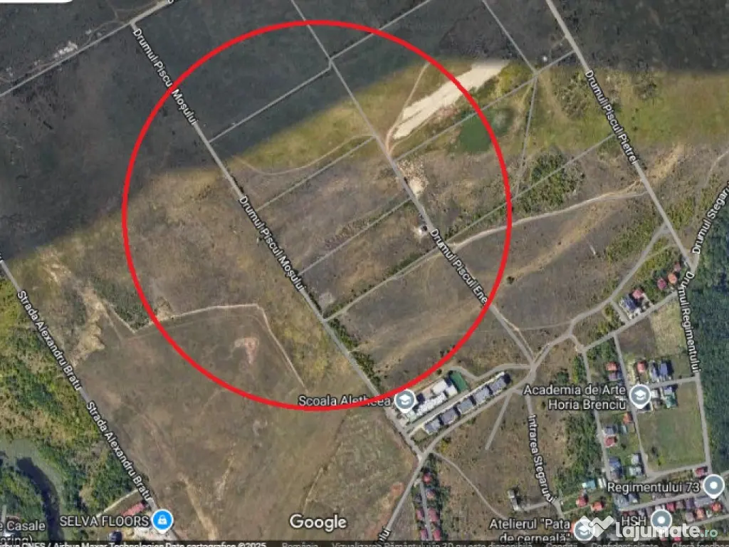 Teren Piscul Mosului 19000 mp New 2026