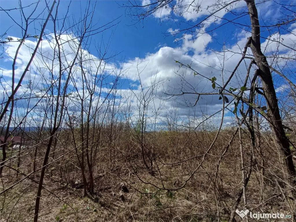 Resita, Teren Intravilan Langa Oras, 5265 Mp., 6,6 Euro/Mp., 