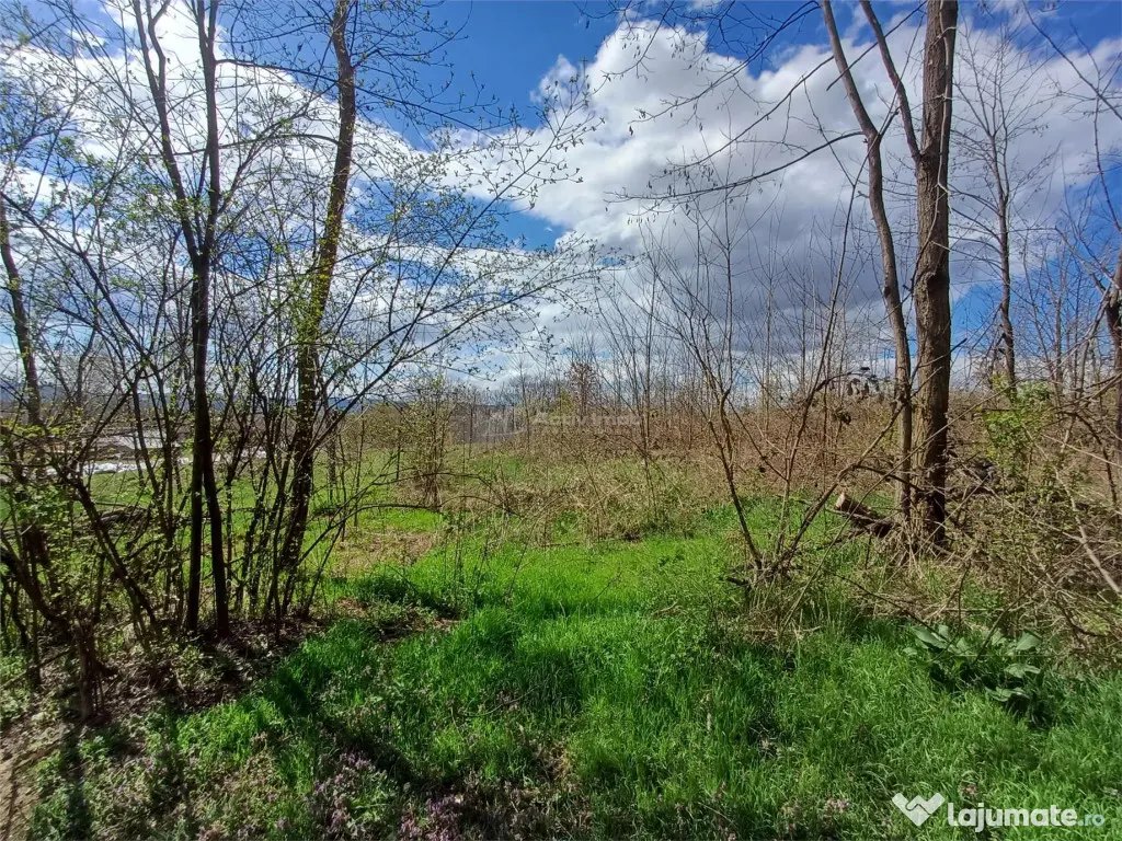 Resita, Teren Intravilan Langa Oras, 5265 Mp., 6,6 Euro/Mp., 