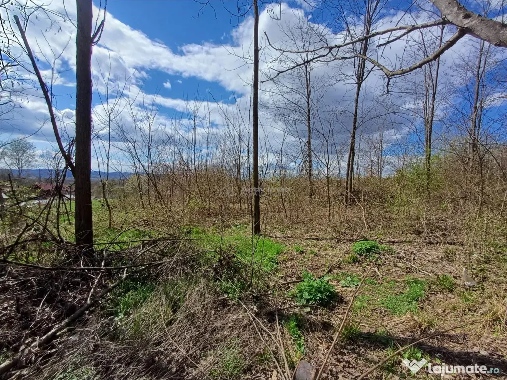 Resita, Teren Intravilan Langa Oras, 5265 Mp., 6,6 Euro/Mp., 