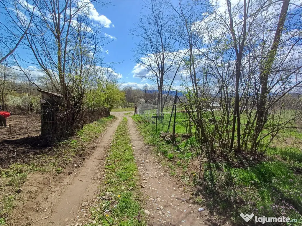 Resita, Teren Intravilan Langa Oras, 5265 Mp., 6,6 Euro/Mp., 