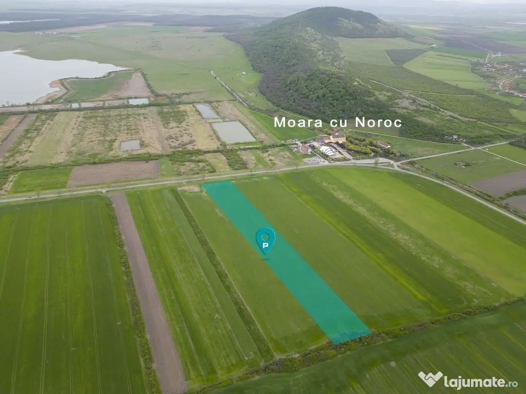 Teren extravilan de 22500mp Zona Ineu