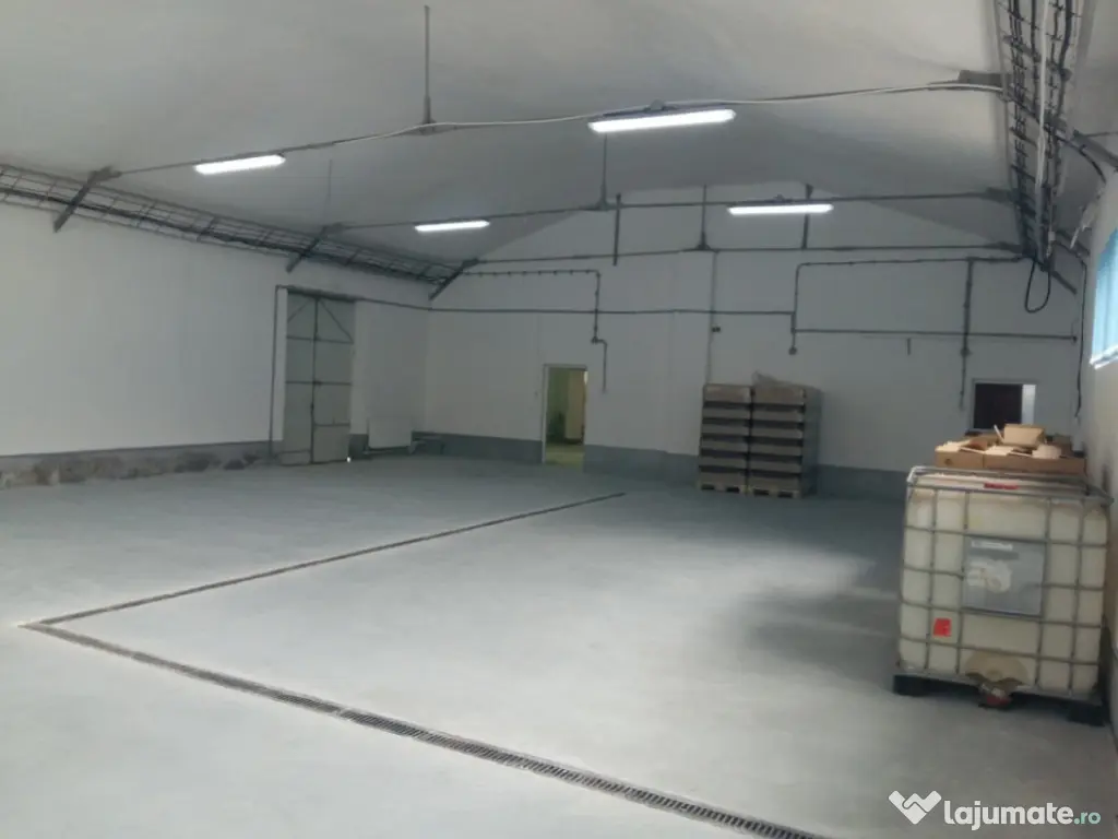 Hala de Inchiriat | Pallady | 400MP 