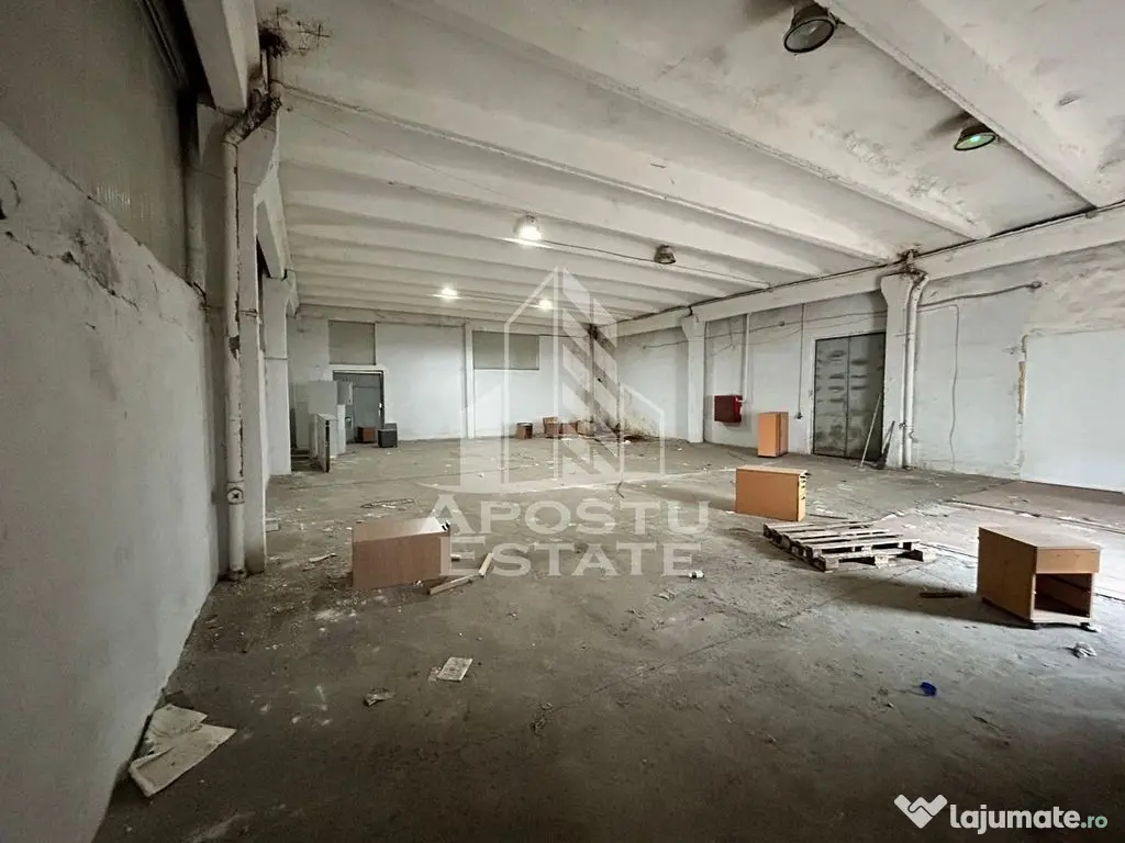 Hala 225 mp, ideala depozitare sau productie, Calea Sagului 