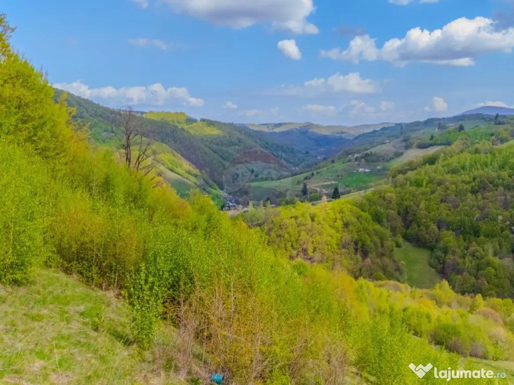 Teren 11,342 mp Poiana Marului /Extravilan/Oportunitate i... 