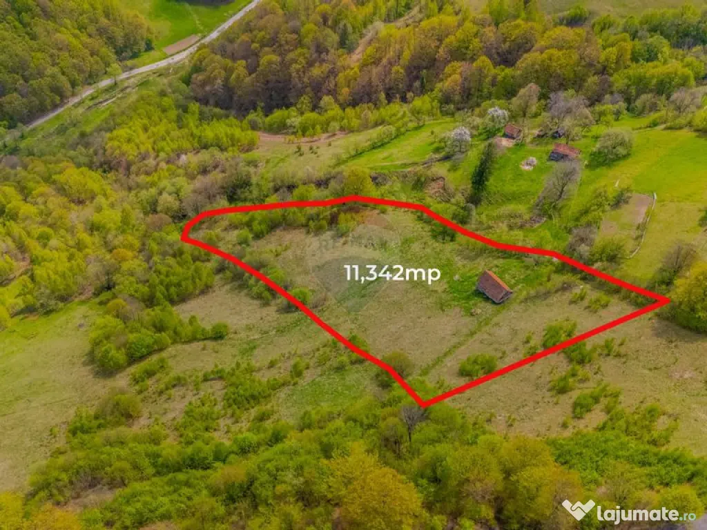 Teren 11,342 mp Poiana Marului /Extravilan/Oportunitate i... 