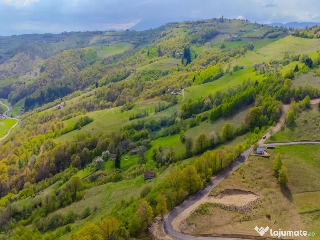 Teren 11,342 mp Poiana Marului /Extravilan/Oportunitate i... 