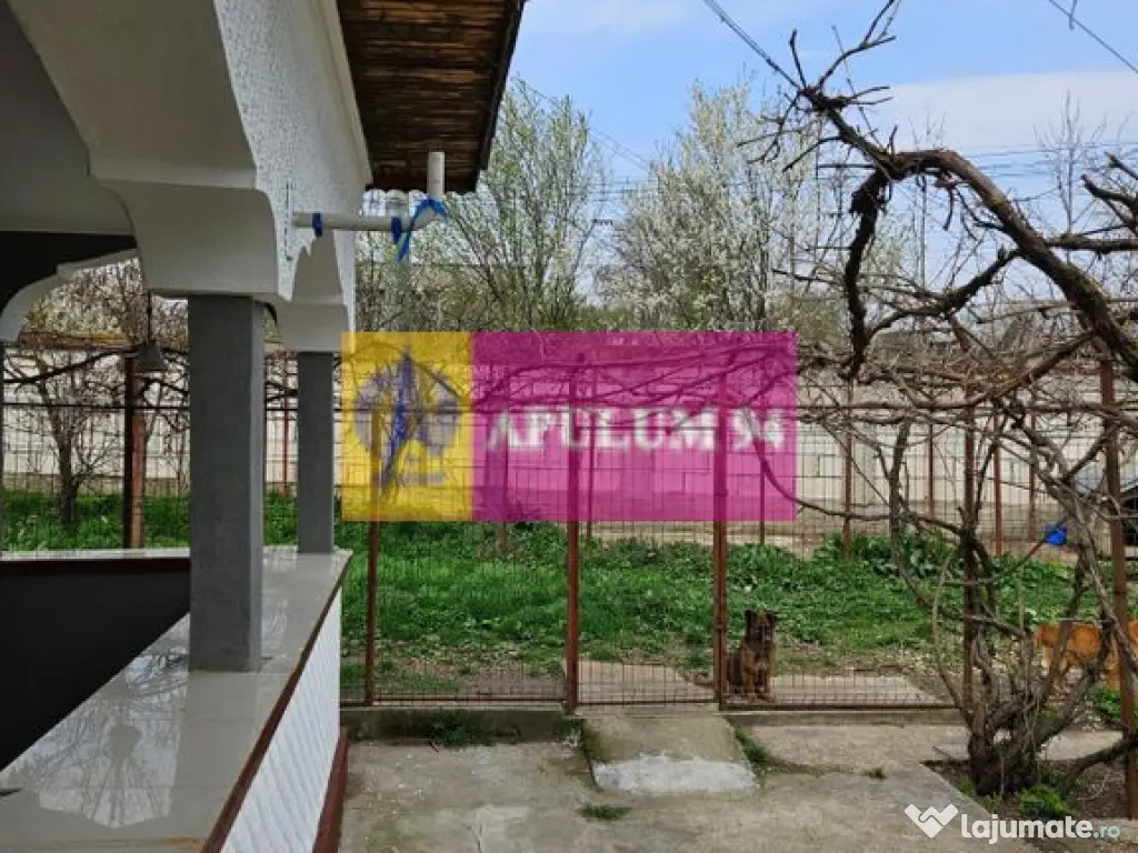 GIURGIU - COM. BUCSANI (SAT OBEDENI) CASA 2 CAM DE VANZARE