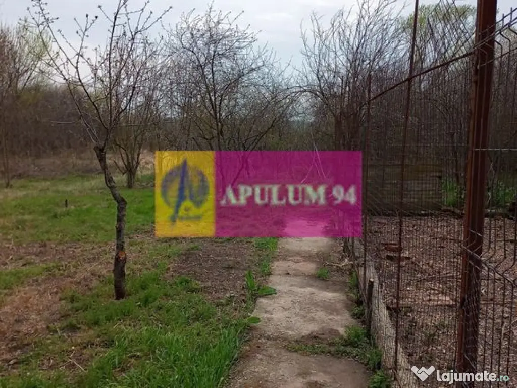 GIURGIU - COM. BUCSANI (SAT OBEDENI) CASA 2 CAM DE VANZARE