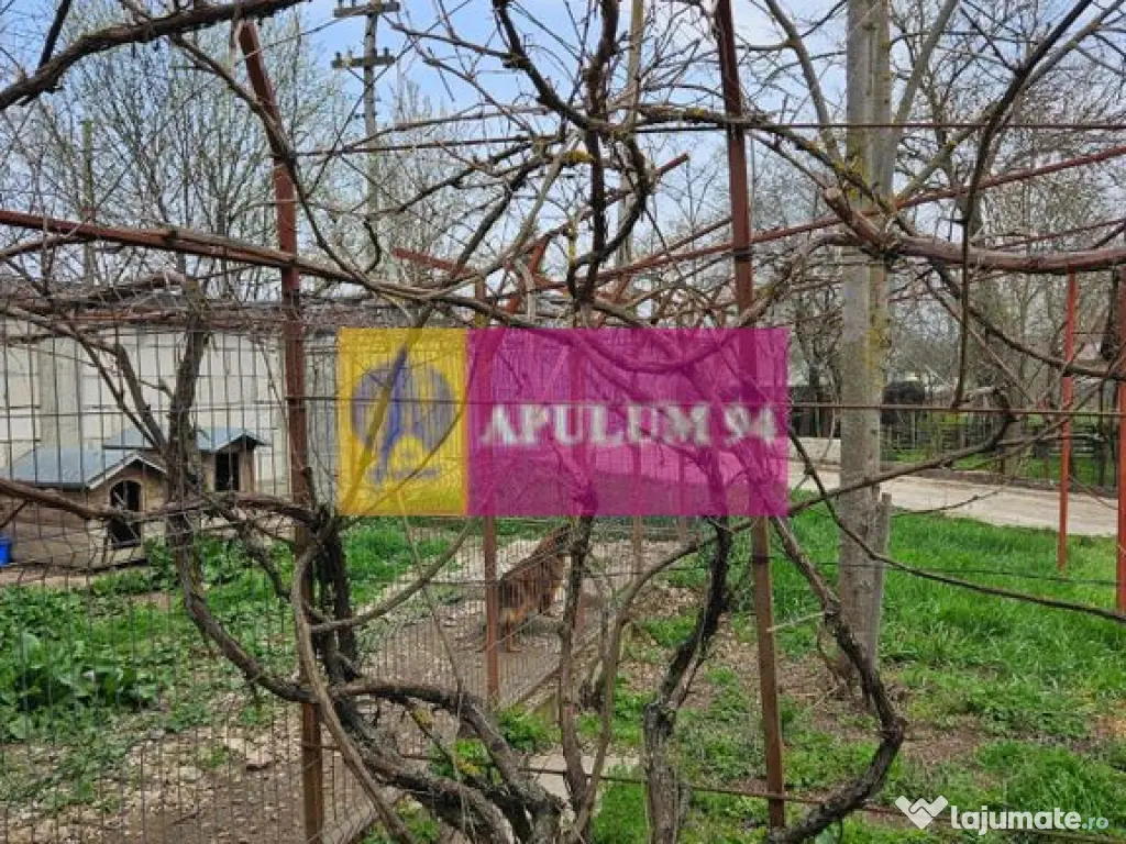 GIURGIU - COM. BUCSANI (SAT OBEDENI) CASA 2 CAM DE VANZARE