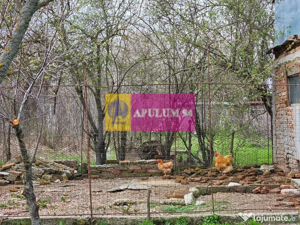 GIURGIU - COM. BUCSANI (SAT OBEDENI) CASA 2 CAM DE VANZARE