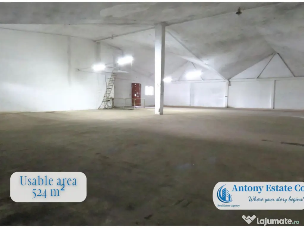 Hala Spatiu Depozit de inchiriat, Calea Clujului - Oradea 