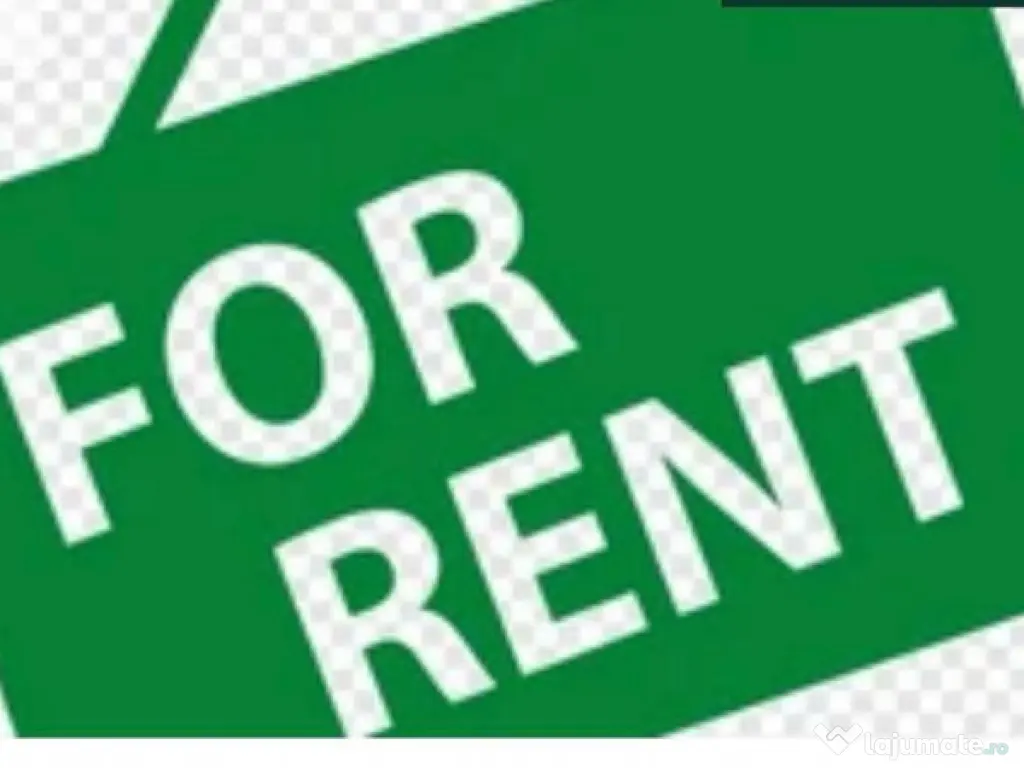 Spatiu comercial de inchiriat, 55 mp, Radauti