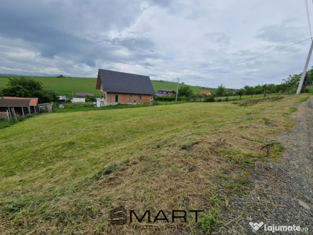 Teren intravila Sura Mare 1000mp 