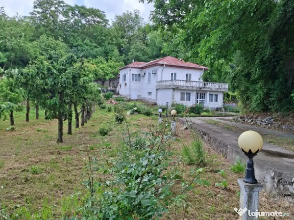 Casa +Teren 2800 mp , departe de agitatia orasului