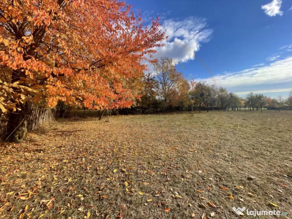 Teren Premium 1559 mp, Brebu Manastirei – Refugiu Montan l 