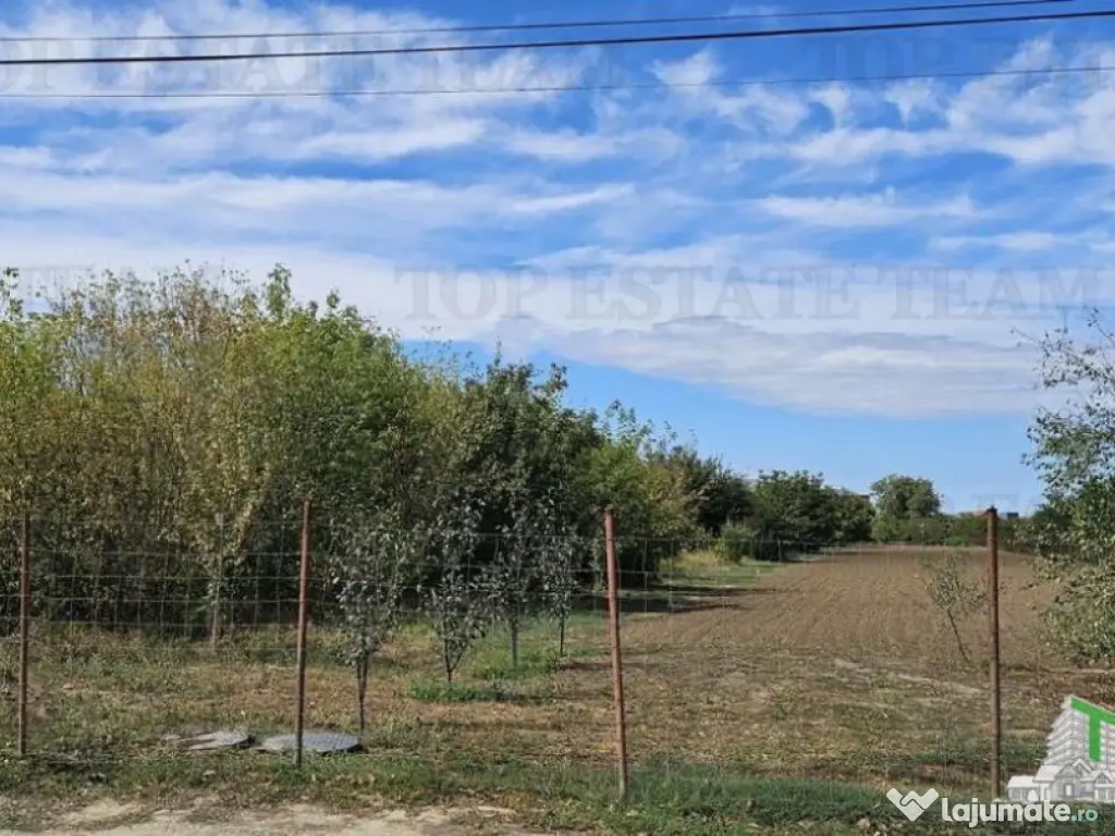 Teren stradal si intravilan 2431mp, P 1E Pod,Magurele, Ilfov 