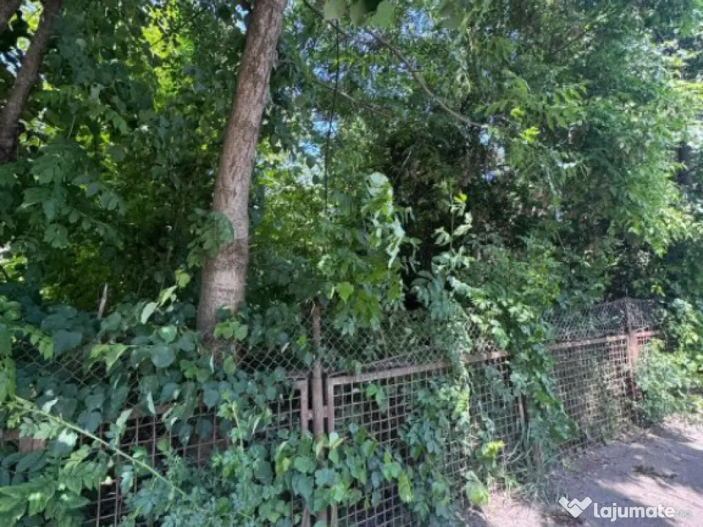 Teren constructii, 4200mp, Radauti