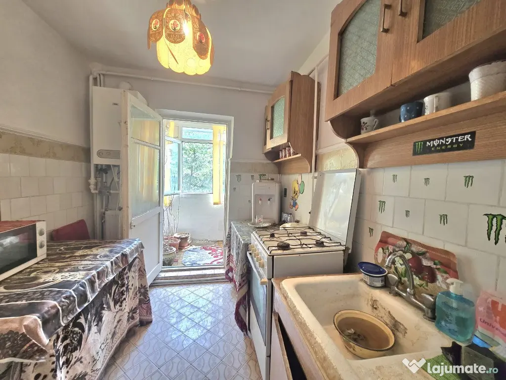 Ap. 3 cam cf I dec Progresu Jandarmerie 