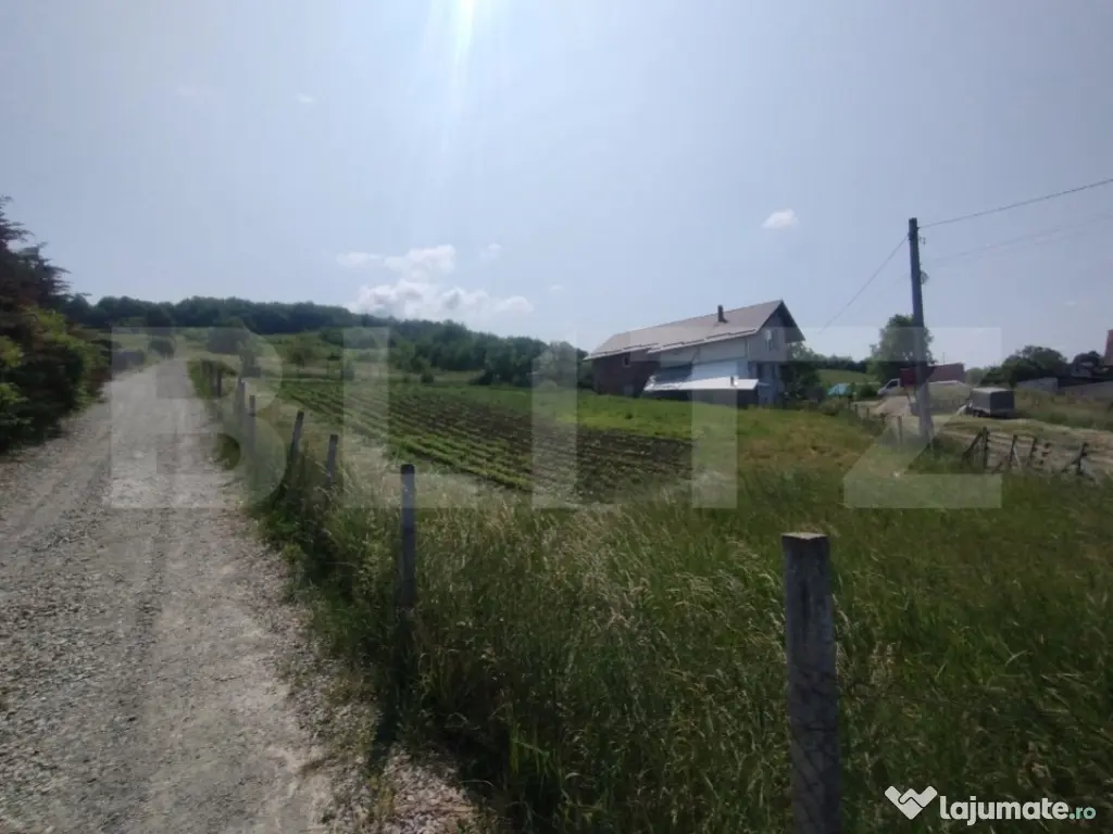 ???? Teren Intravilan Versatil: Ideal pentru Casă sau Inves