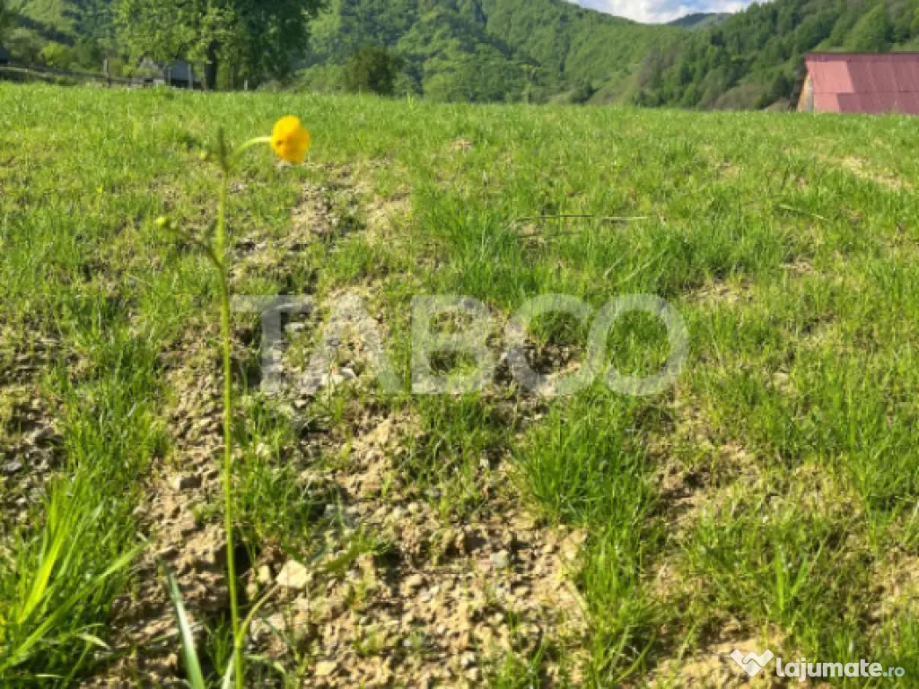 Teren 1059 mp in Raul Sadului– Natura liniste si investit 