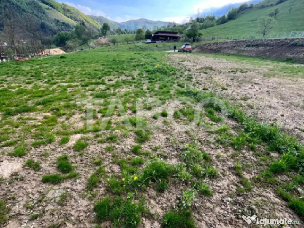 Teren 1059 mp in Raul Sadului– Natura liniste si investit 