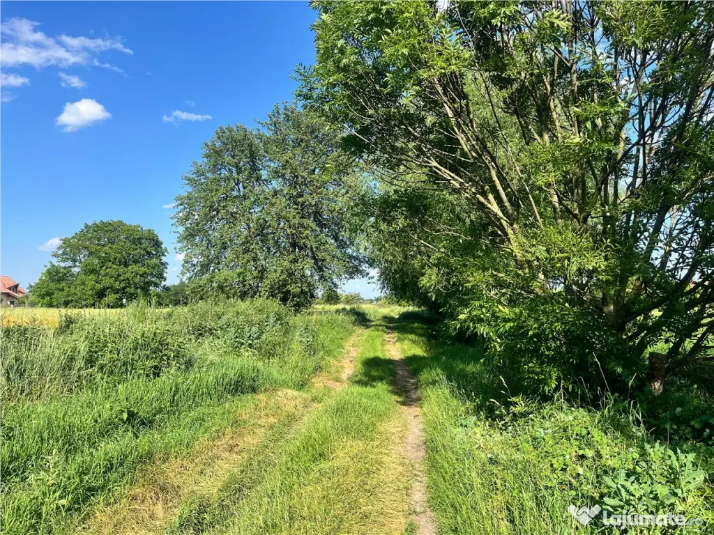 TEREN INTRAVILAN, 1200 mp, HARMAN, COMISION 0% 