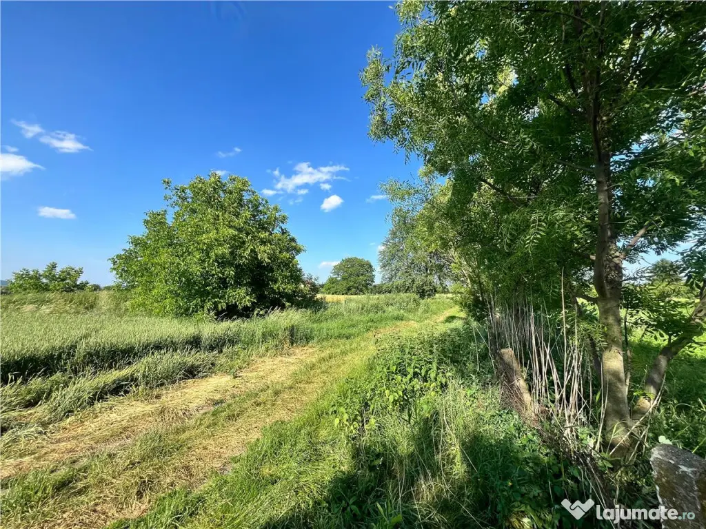 TEREN INTRAVILAN, 1200 mp, HARMAN, COMISION 0% 