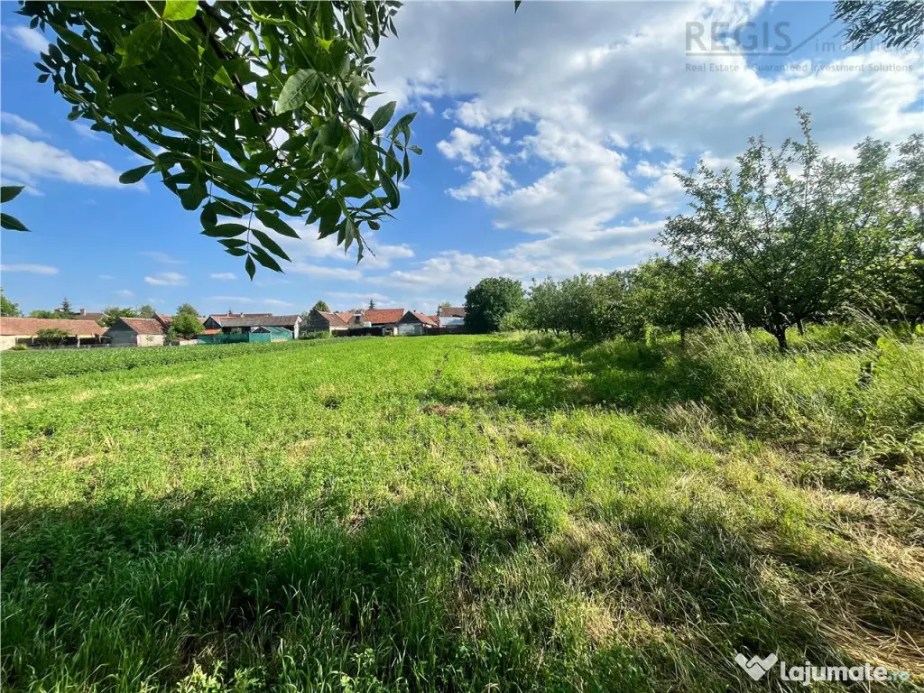 TEREN INTRAVILAN, 1200 mp, HARMAN, COMISION 0% 