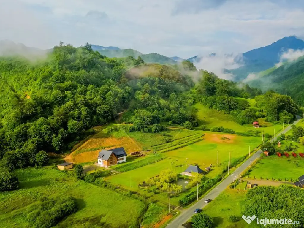 Cabana de vis la poalele Muntilor Țibleș schimb cu apar...